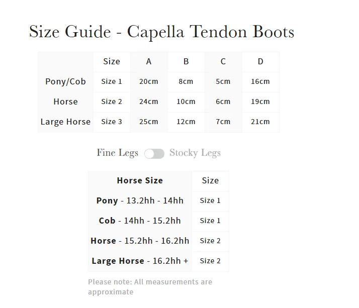 LeMieux Capella Tendon Boots